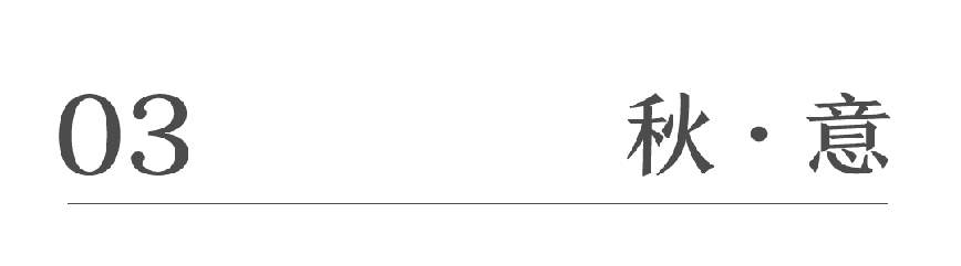 1665371496709272.jpg 微信圖片_20221010105905.jpg